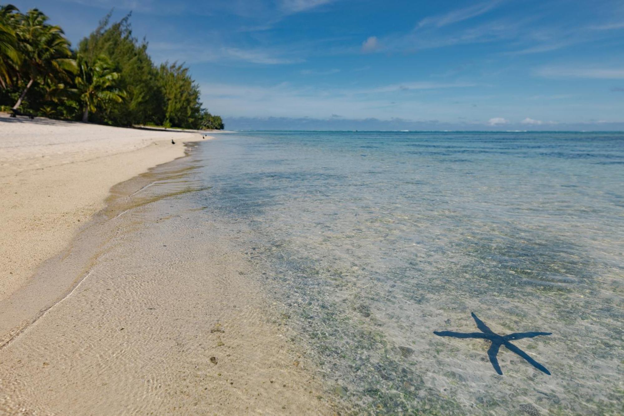 Etu Moana Boutique Beach Villas - Adults Only Arutanga Exteriör bild